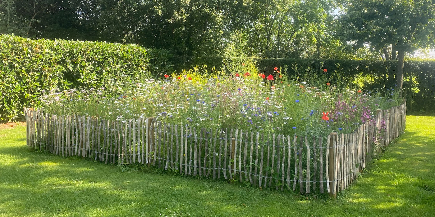 Garten Hoekstra - Beratung und Planung - Beet mit Wildblumen und Holzzaun