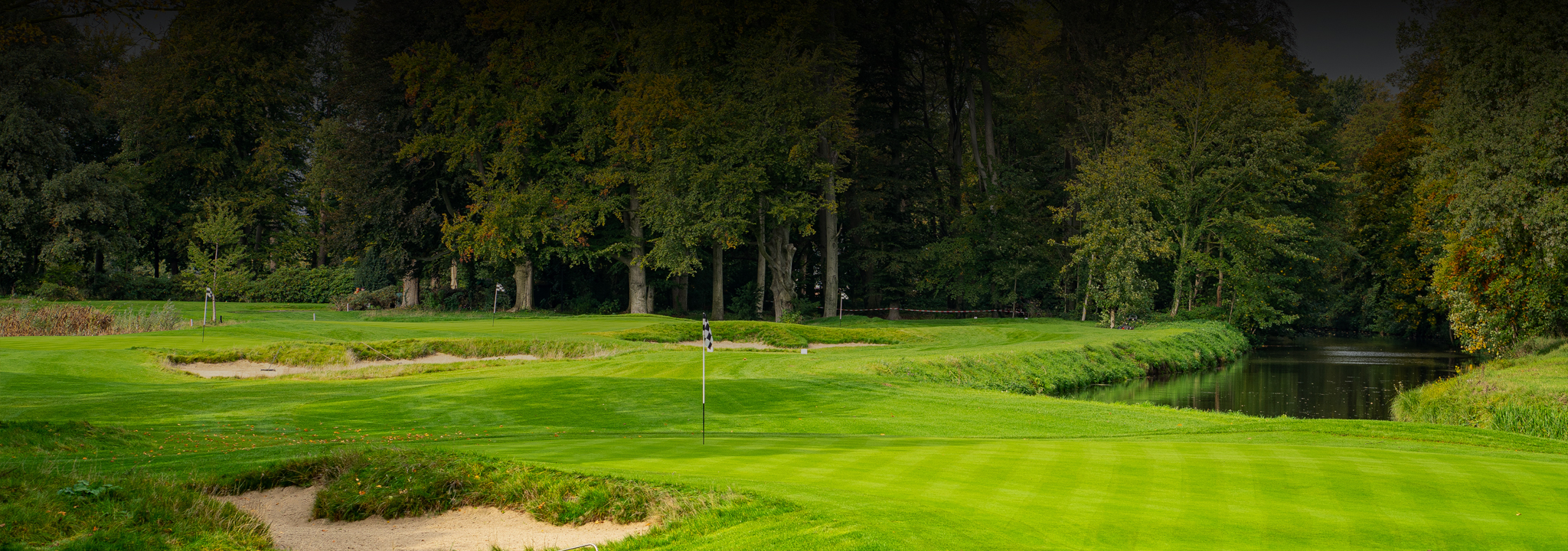 Garten Hoekstra - Golfplatz - Kurzplatz mit Blick auf Loch - Fahne - gemähter Rasen - Golfplatzpflege