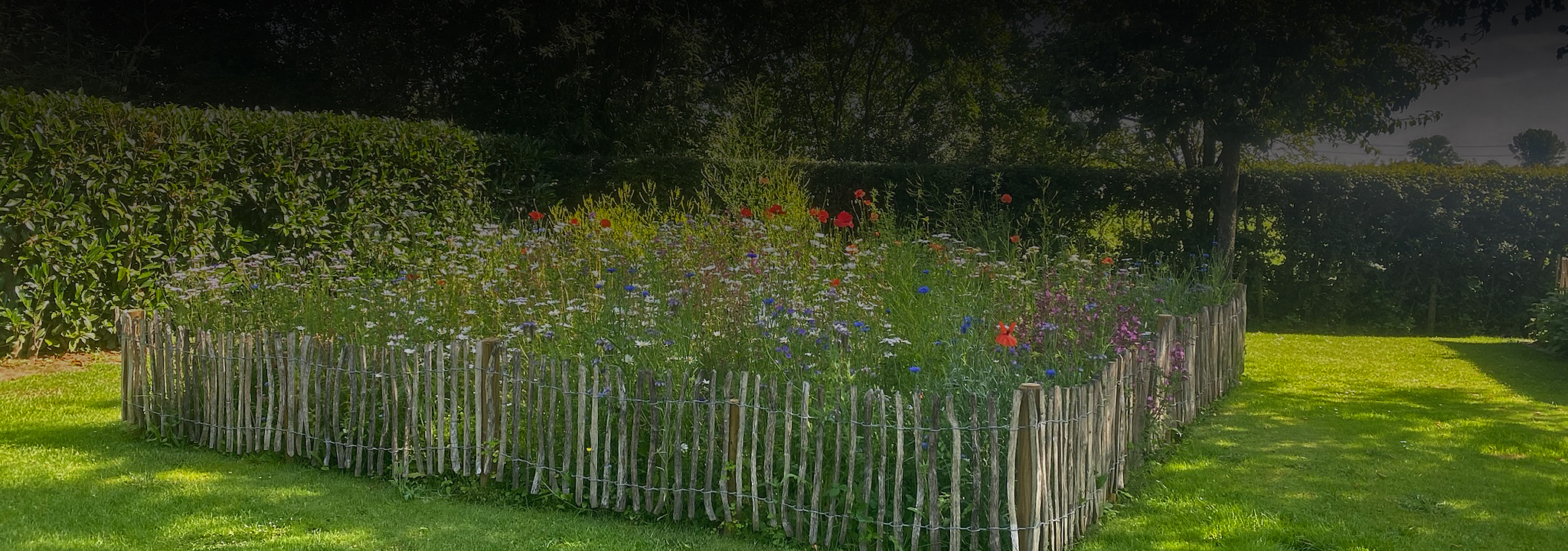 Garten Hoekstra - Gartenpflege - Wildblumenwiese mit Kastanien-Holzzaun